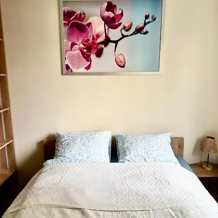 Apartment Rataje